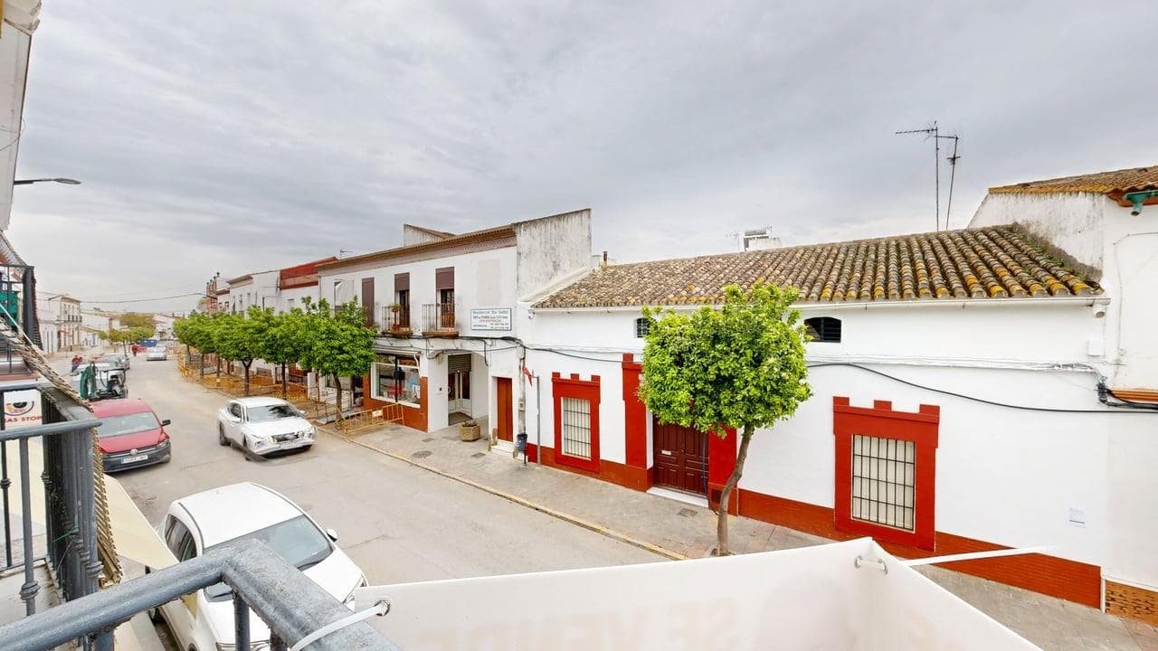 Imagen 37